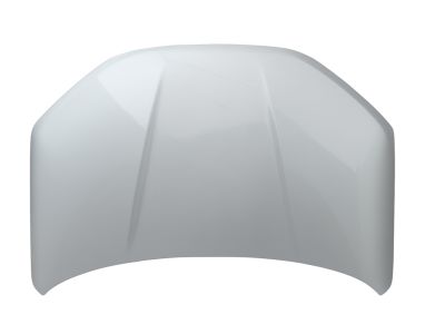 Ford M1PZ-16612-A HOOD ASY