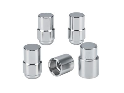 Ford E9AZ-1A043-A Wheel Lock Kit