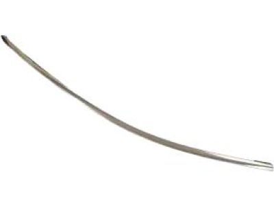 Ford 8A5Z-5420550-A Frame Molding