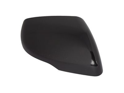 Ford FT4Z-17D742-BAPTM Mirror Cover