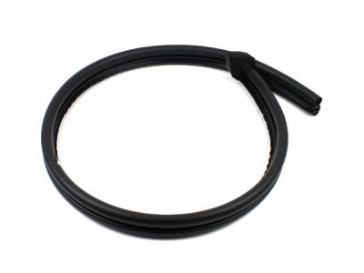 Ford F2UZ-1541654-A Weatherstrip