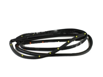 Ford 6E5Z-5425324-AA Door Weatherstrip