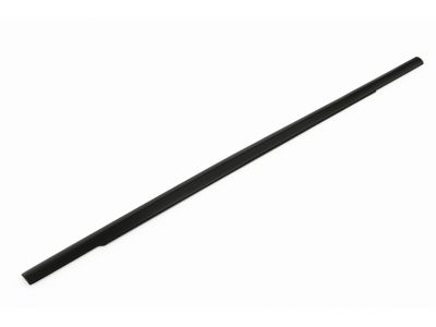 Ford 8T4Z-7821452-D Belt Weatherstrip