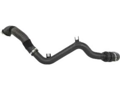 Ford EJ7Z-7821596-A Run Channel