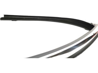 Ford EJ7Z-7821596-A Run Channel