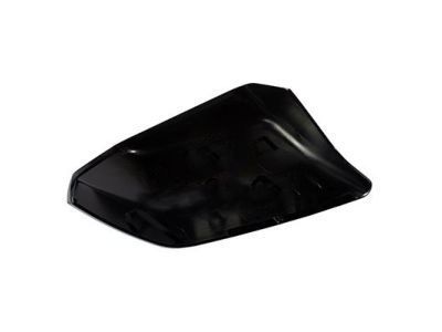 Ford FL3Z-17D743-CAPTM Mirror Cover