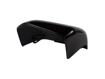 Ford FL3Z-17D743-CAPTM Mirror Cover