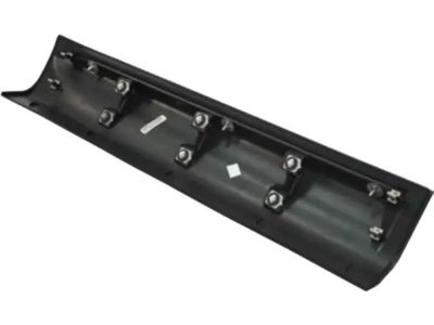 Ford BA1Z-7825557-A Side Molding