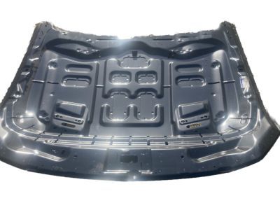 Ford JR3Z-16612-A Hood