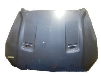 Ford JR3Z-16612-A Hood