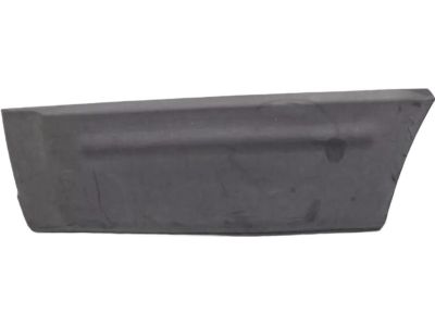 Ford 4L1Z-7825557-AAA Body Side Molding