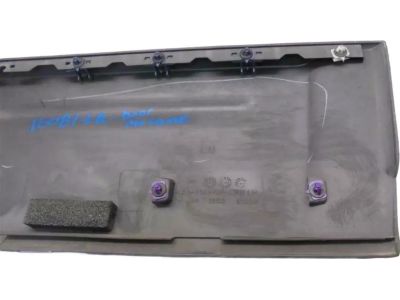 Ford 4L1Z-7825557-AAA Body Side Molding