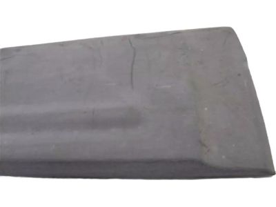 Ford 4L1Z-7825557-AAA Body Side Molding