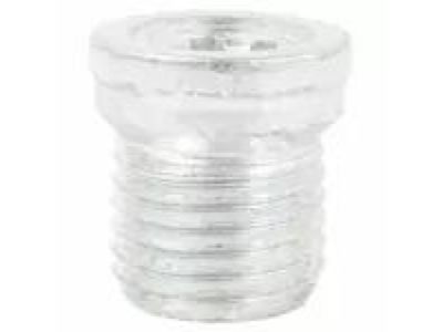 Ford CV6Z-7A010-B Plug - Filler