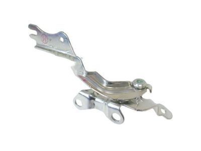Ford 6H6Z-16796-A Hinge