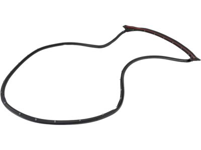 Ford JL1Z-4025324-A Door Weatherstrip