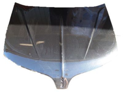 Ford DA5Z-16612-A Hood