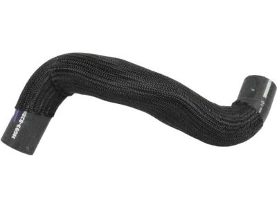Ford HG9Z-8286-A Lower Hose