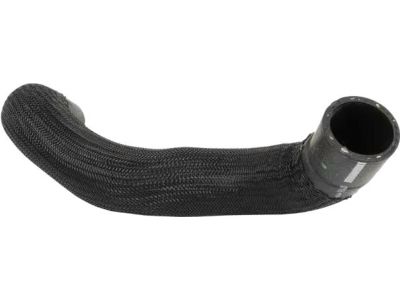 Ford HG9Z-8286-A Lower Hose