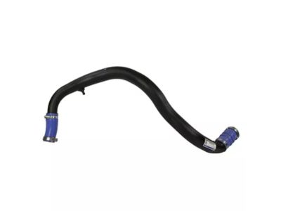 Ford JL3Z-6C646-A Upper Hose