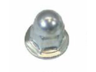 Ford -N620365-S437 Rear Glass Nut