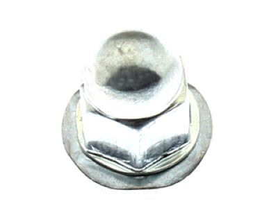 Ford -N620365-S437 Rear Glass Nut