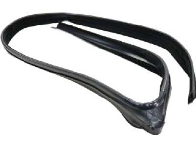 Ford 8G1Z-5421597-A Run Channel