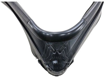 Ford 8G1Z-5421597-A Run Channel