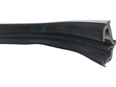 Ford 8G1Z-5421597-A Run Channel