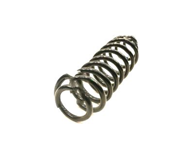 Ford BR3Z-5560-C Coil Spring