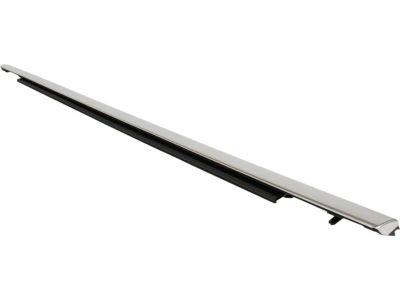 Ford JL1Z-7821453-A Belt Molding