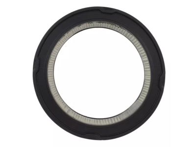 Ford C2OZ-9601-AR Air Filter