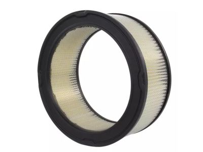 Ford C2OZ-9601-AR Air Filter