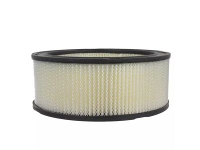 Ford C2OZ-9601-AR Air Filter