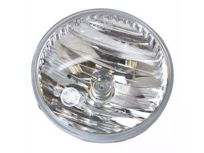 Ford AL8Z-15200-A Fog Lamp Assembly