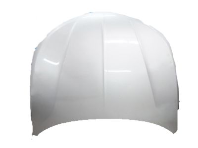 Ford DP5Z-16612-A Hood