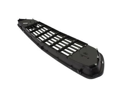 Ford GR3Z-8200-AC Grille