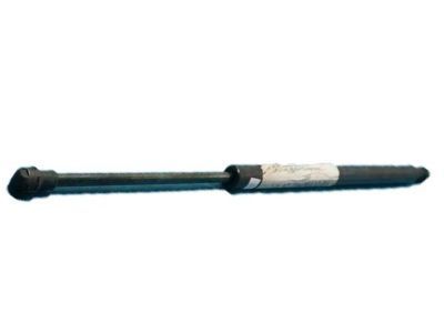 Ford 2L1Z-78406A10-BA Window Lift Cylinder