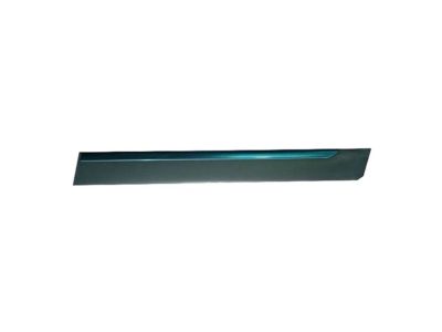 Ford 5W3Z-5425557-BPTM Body Side Molding