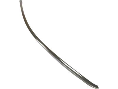 Ford 8A5Z-5420551-A Frame Molding