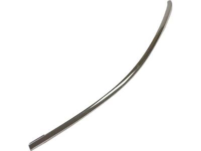 Ford 8A5Z-5420551-A Frame Molding