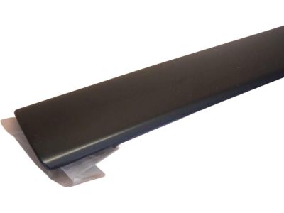 Ford 5S4Z-5420939-AAPTM Body Side Molding