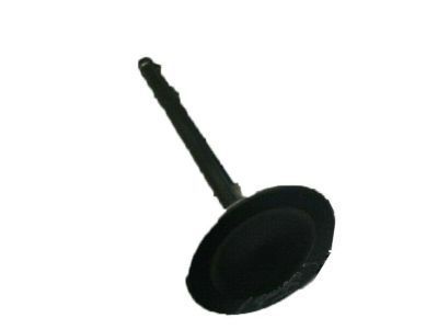 Ford 7T4Z-6507-B Intake Valve