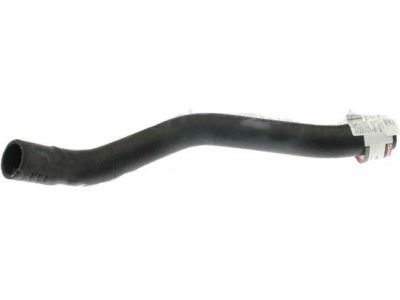 Ford FR3Z-8286-D Lower Hose