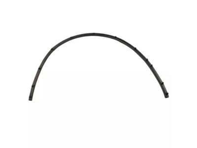 Ford LJ6Z-16B990-A WEATHERSTRIP
