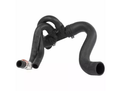 Ford CK4Z-8286-E Lower Hose