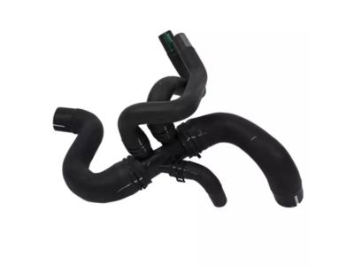 Ford CK4Z-8286-E Lower Hose