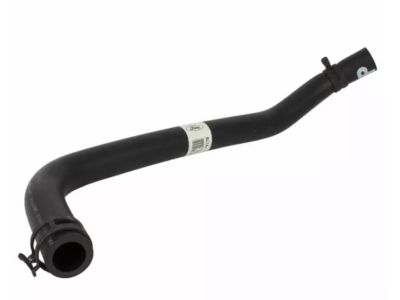 Ford BL1Z-3691-B Hose Assembly - Reservoir