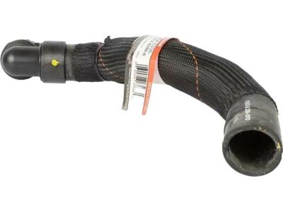 Ford F2GZ-8286-B Lower Hose