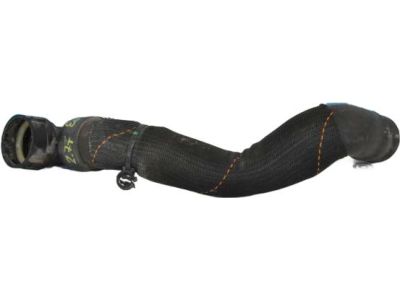 Ford F2GZ-8286-B Lower Hose
